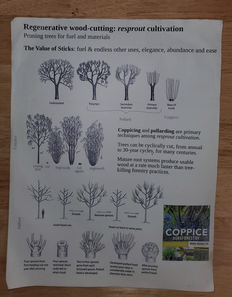 Regenerative wood-cutting diagram